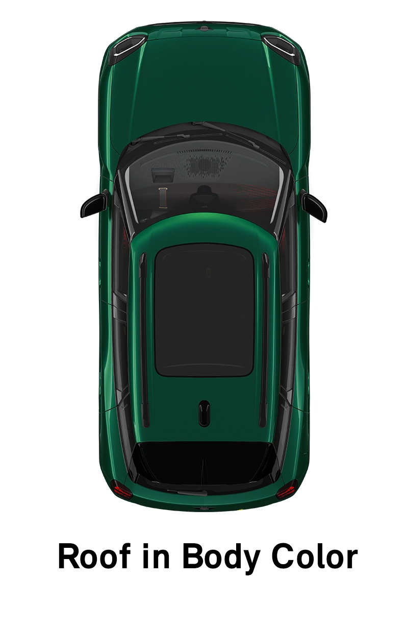  MINI - echipamente - stilul jcw - plafon în culoarea caroseriei