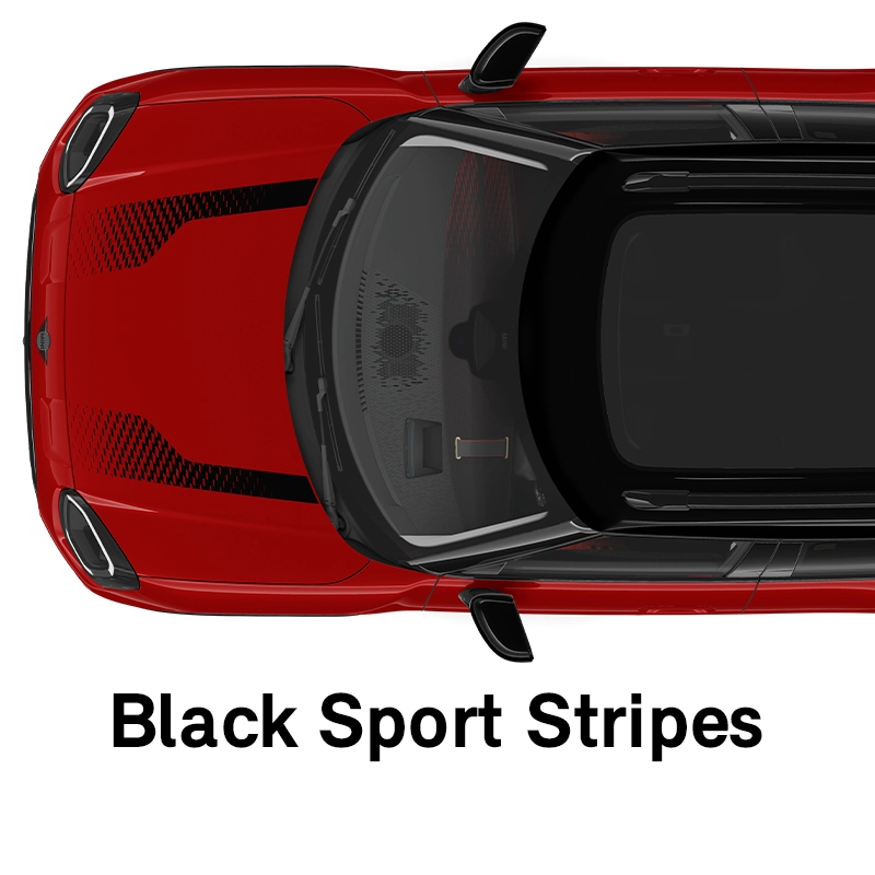 MINI - echipamente - stilul jcw - dungi sport decorative în negru