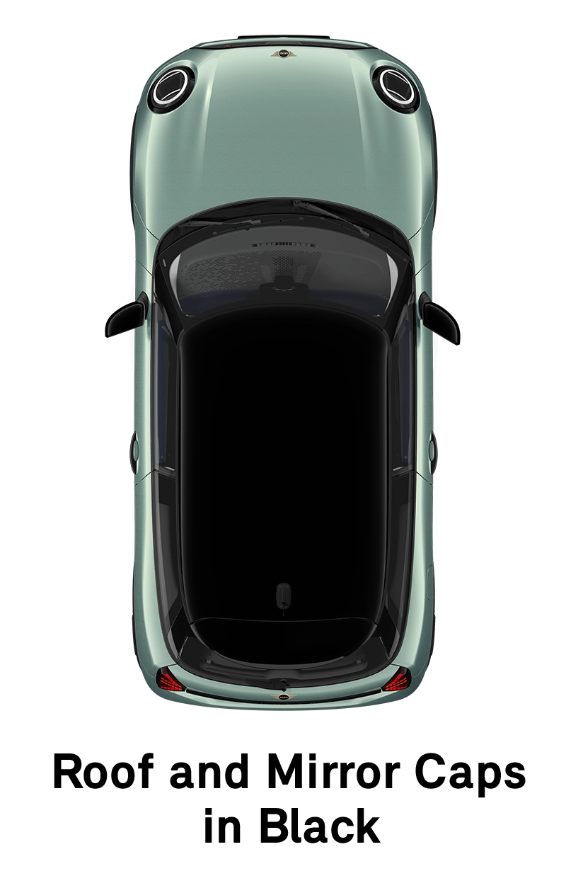  MINI - echipamente - stilul classic - plafon în negru