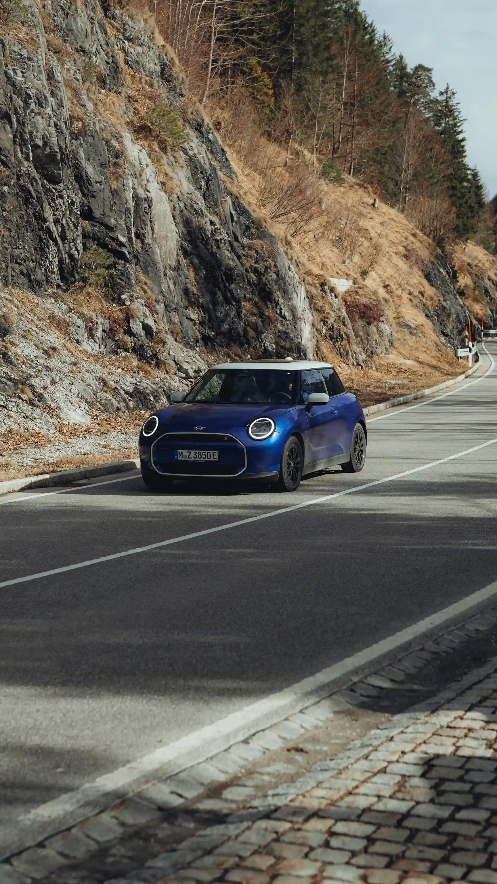 MINI Cooper integral electric - Driving Assistance
