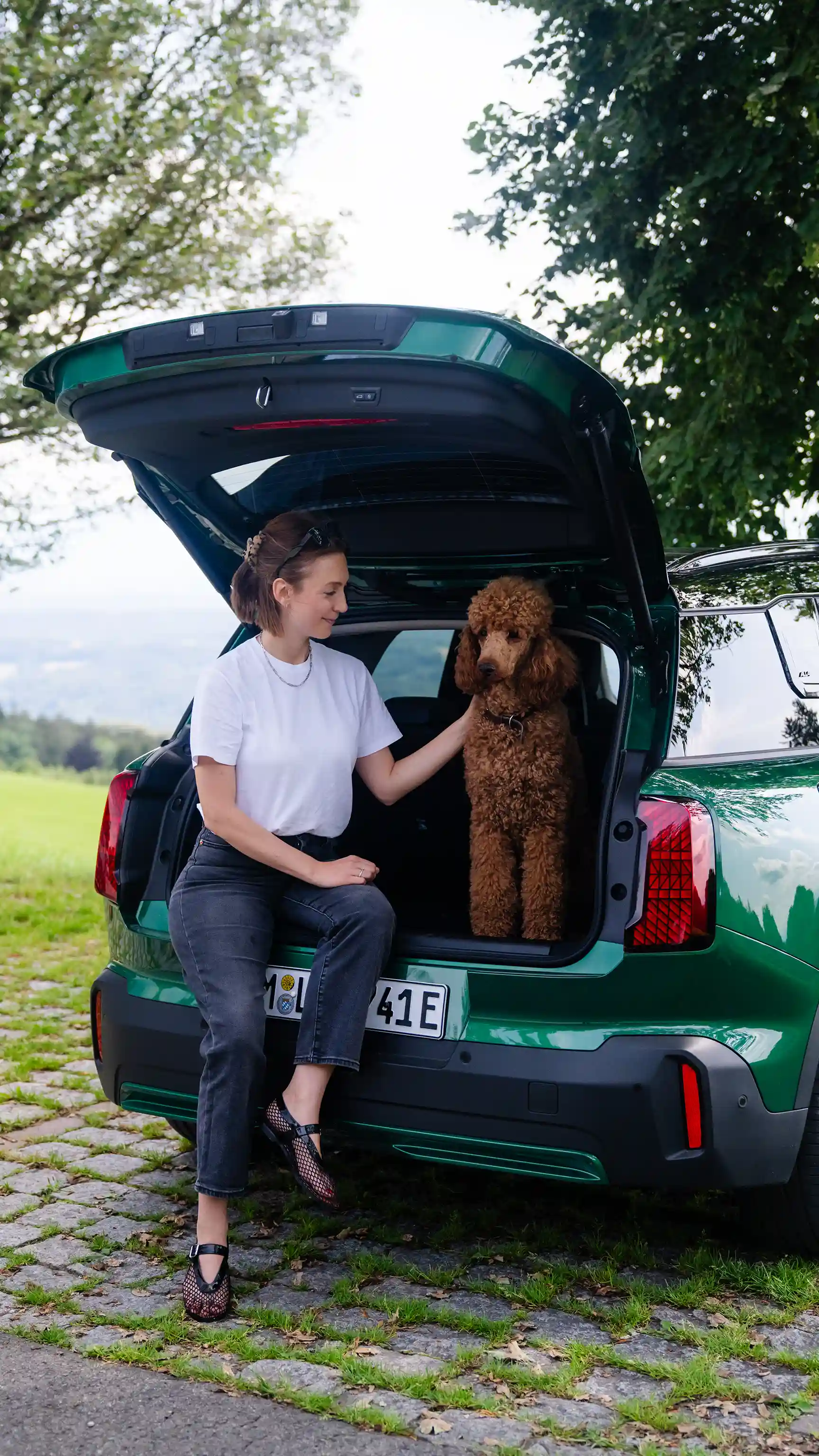 MINI Countryman integral electric