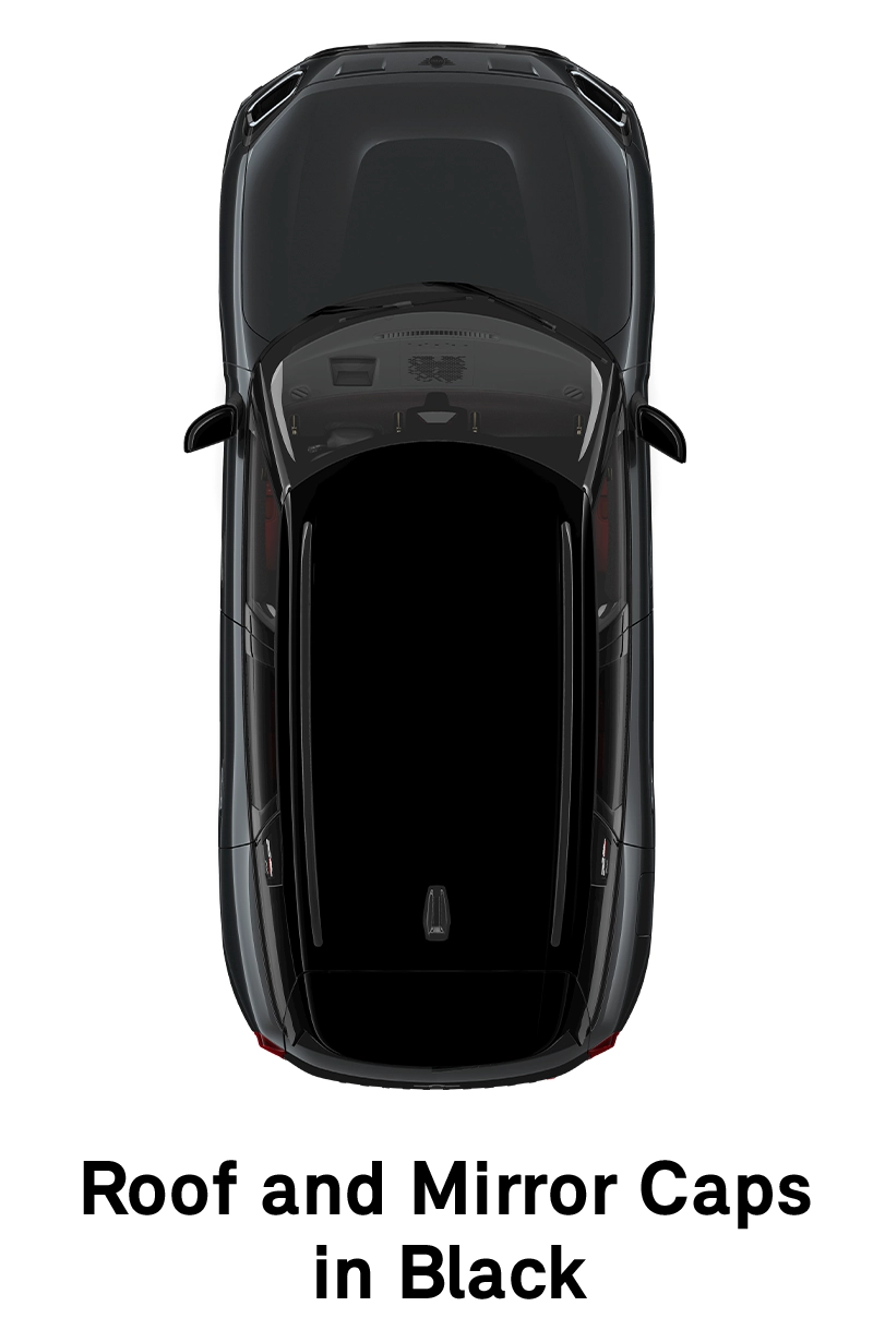  MINI - echipamente - stilul jcw - plafon în negru