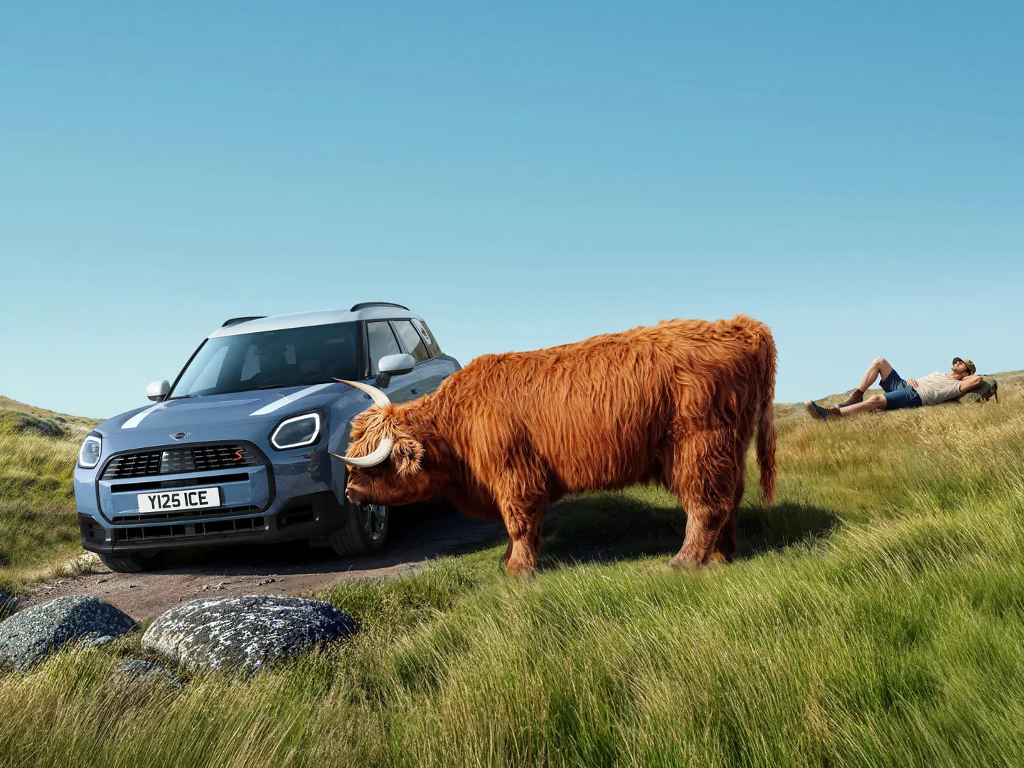 MINI Service cu Proactive Care – un bărbat relaxându-se pe un deal lângă MINI Countryman S ALL4, în compania unui taur Highland.