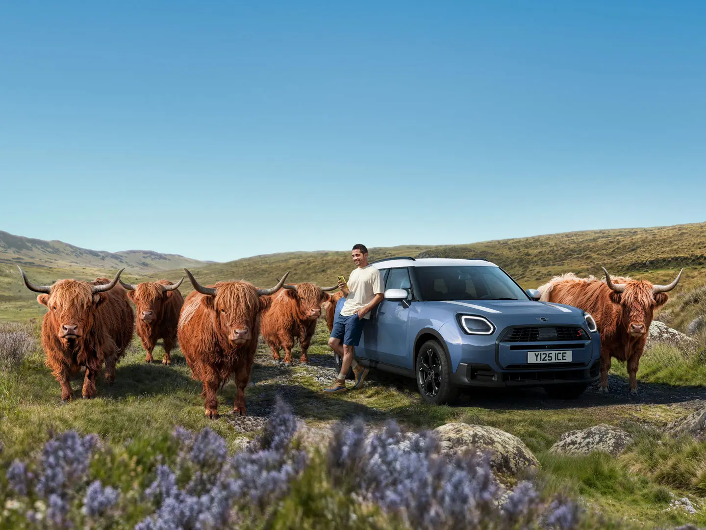 Bărbatul se sprijină relaxat de MINI Countryman S ALL4, înconjurat de tauri Highland pe un teren deluros.