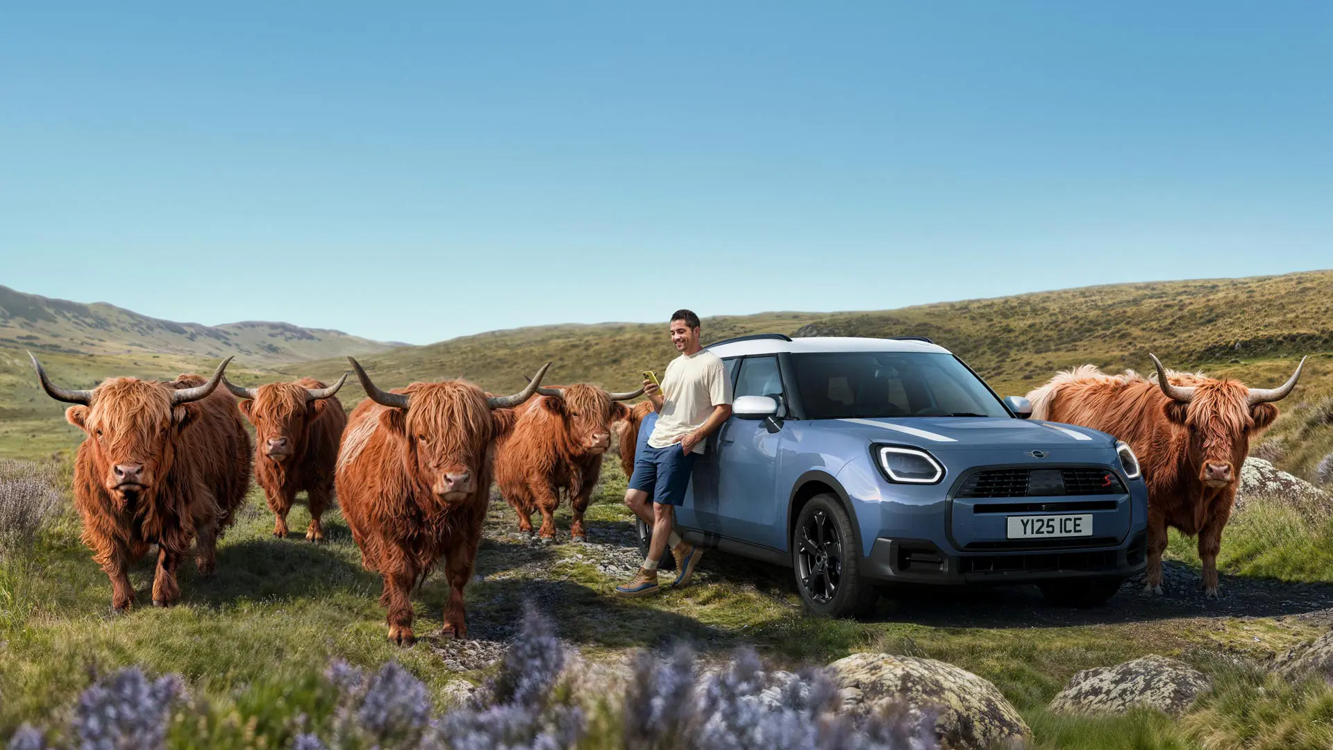 Bărbatul se sprijină relaxat de MINI Countryman S ALL4, înconjurat de tauri Highland pe un teren deluros.
